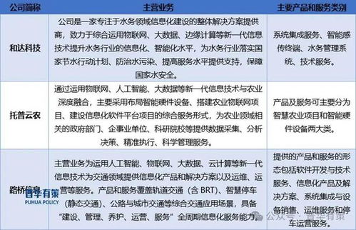2024-2030年軟件和信息服務行業(yè)專項調(diào)研及投資前景預測分析報告