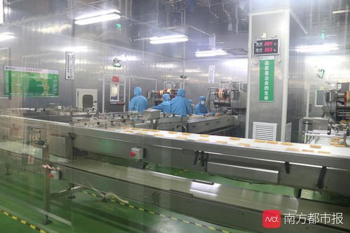 東莞“倍增計劃”申報啟動 新評價體系引領高質量發展，信息服務業務迎新機遇